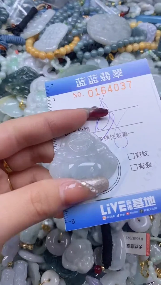 【闪购商品】翡翠颈饰未镶嵌闪购0164037