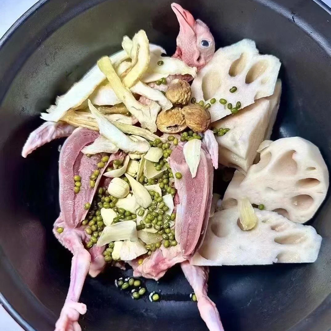 崇明鸽子 嫩鸽子 乳鸽 散养鸽子 鸽子肉