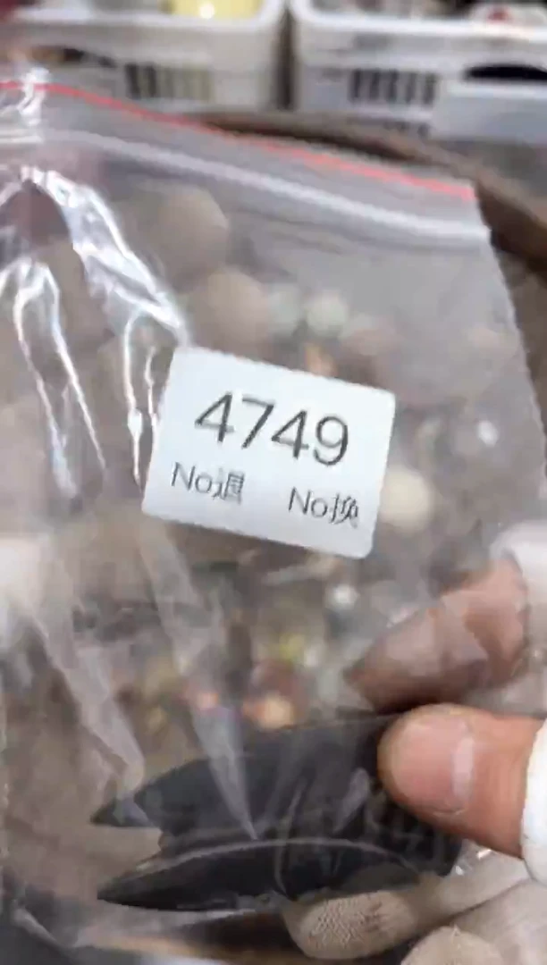 罐鸡***蛋88886666202509264749