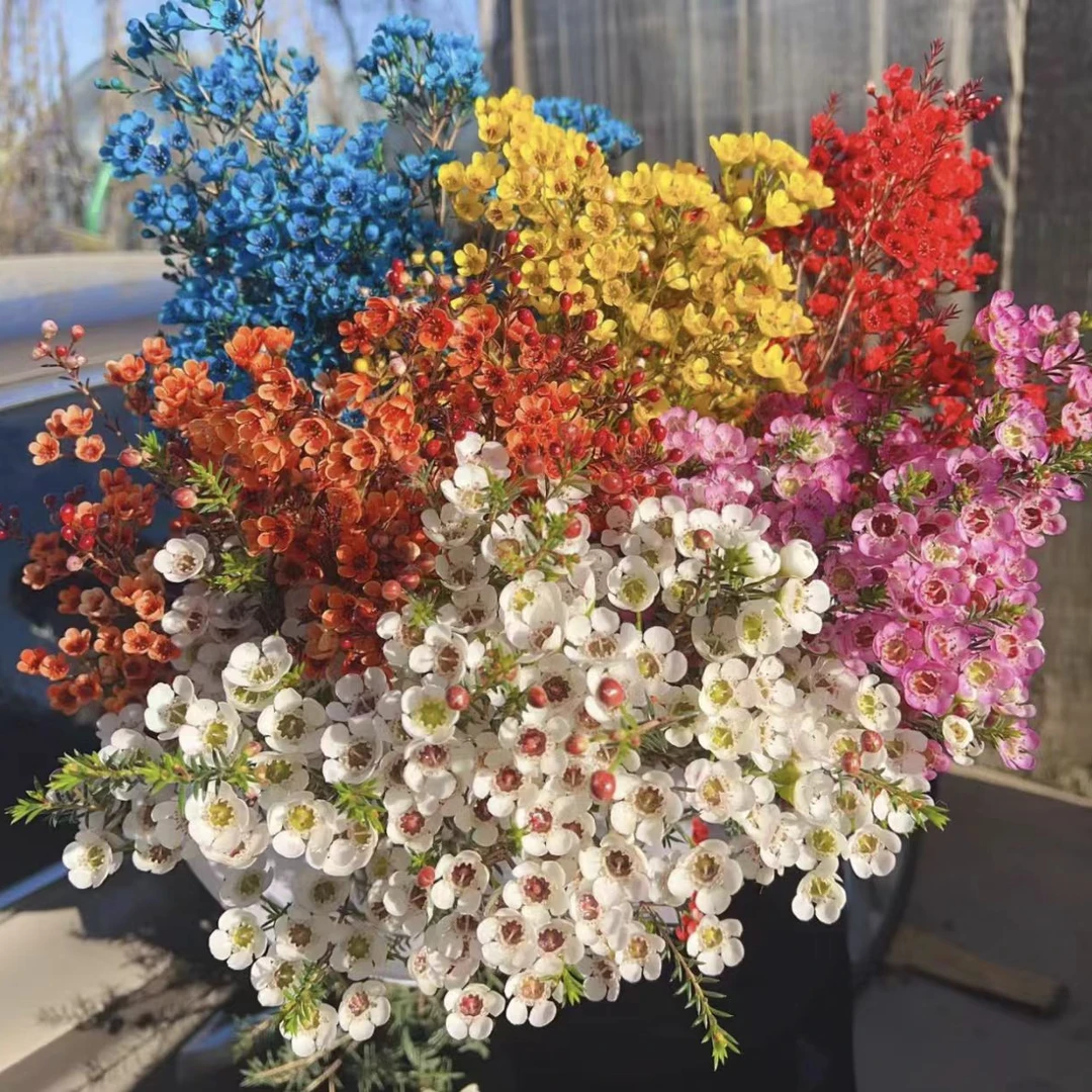 【HH】腊梅/年宵花/花期长【5°以下不拍保温棉，鲜花冻坏不售后】