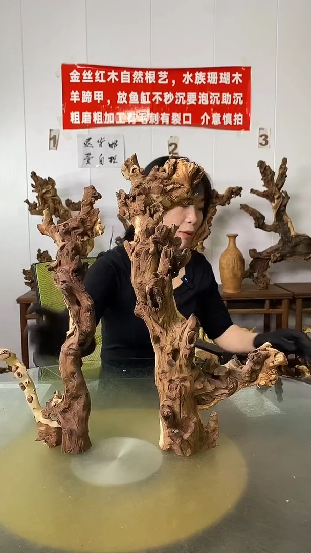 香榧木穆****活金丝红木 羊蹄甲