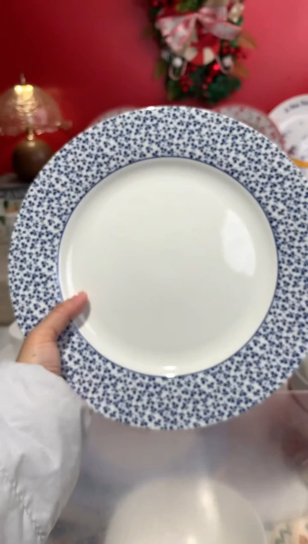 瓷片陶瓷尾单CC008重瑕1个