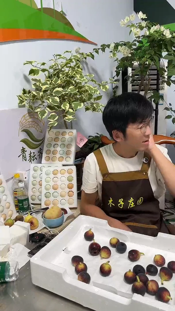 无花果小果24枚无售后介意勿拍