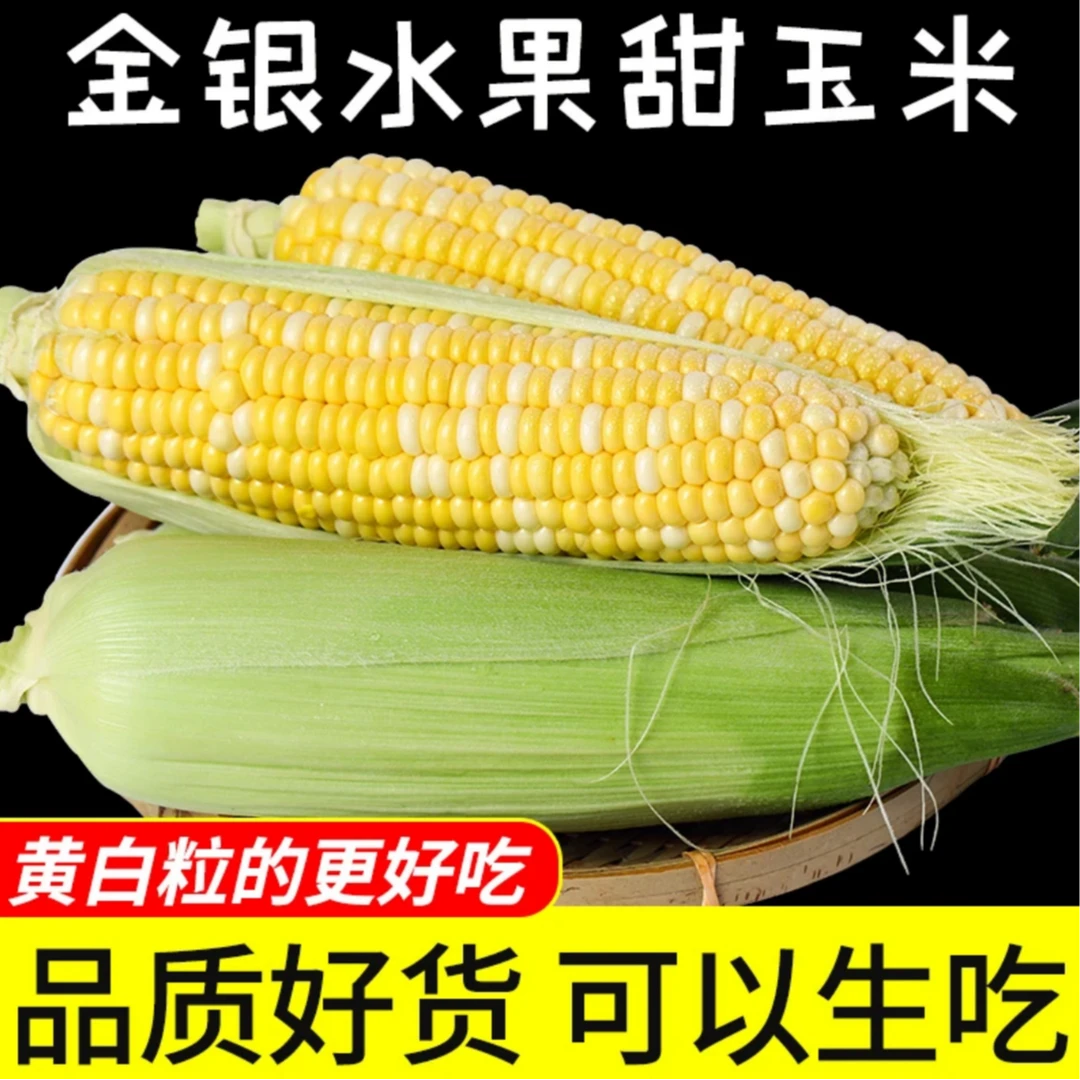 双色云南金银水果玉米甜脆新鲜金银带壳代餐甜玉米孕妇控糖低脂即