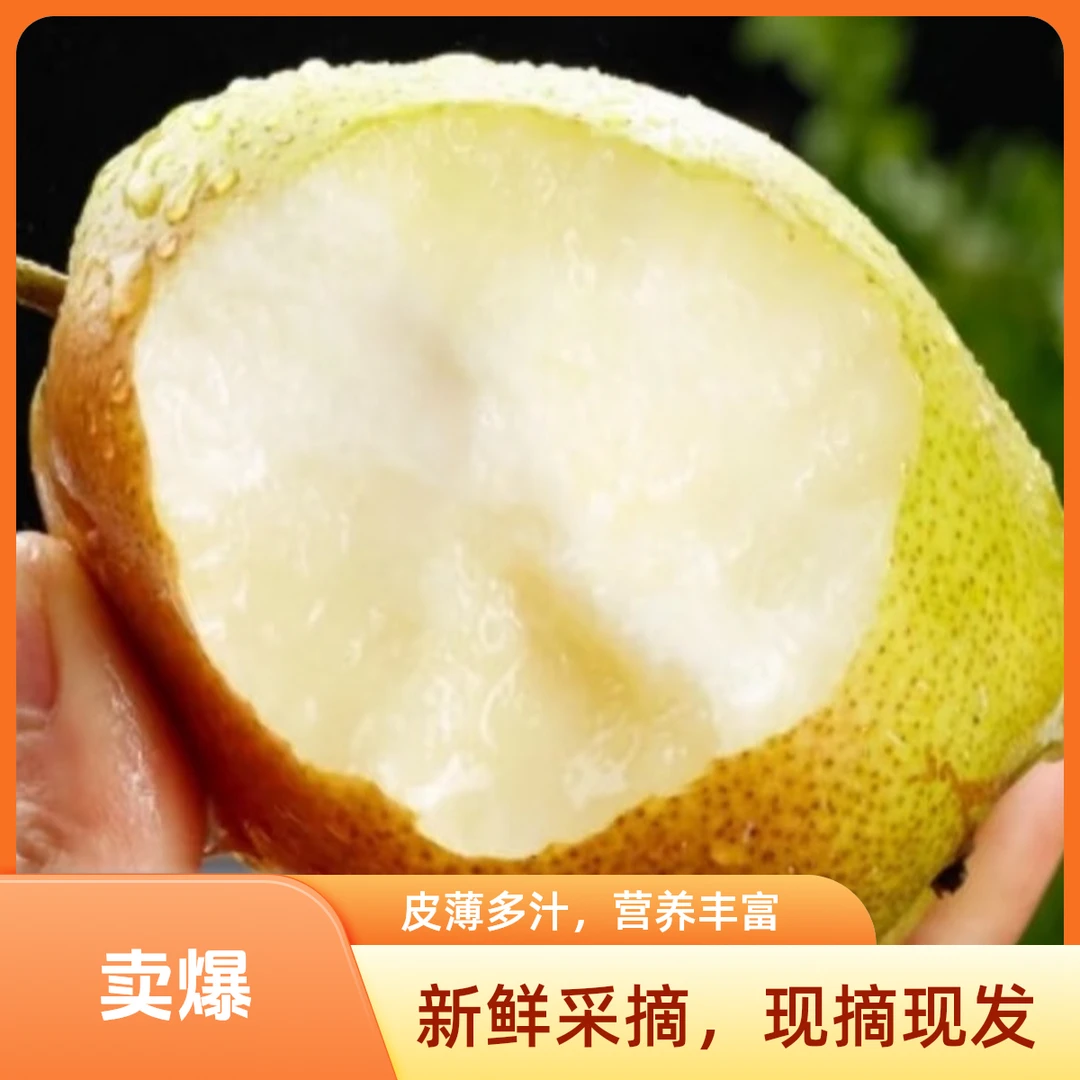 库尔勒香梨2025年头茬/5斤彩箱装 新鲜采摘 皮薄肉细 口口爆汁