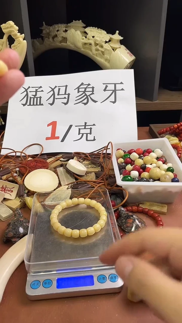 猛犸香香10*9直切单圈