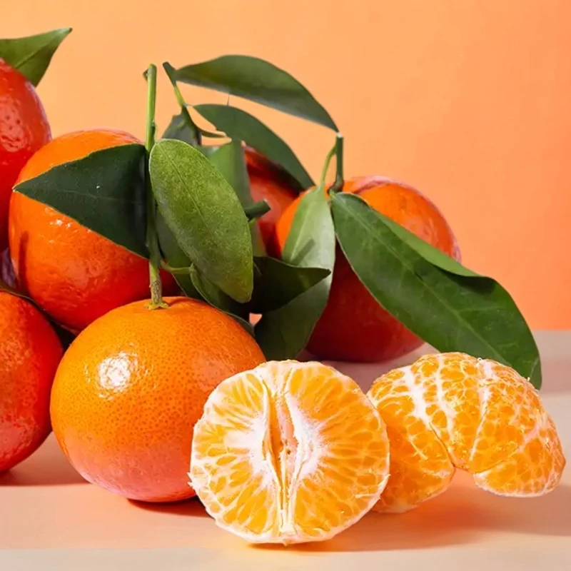 【店铺补贴.】正宗新鲜采摘广西沙糖桔带箱/四斤十斤 现拍次日达沙糖桔广西壮族自治区