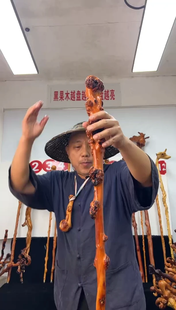 黑果木其他黑果木488