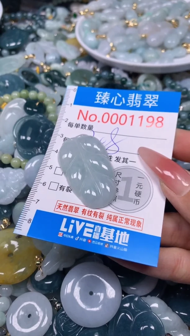 【闪购商品】翡翠颈饰未镶嵌含绳0001198