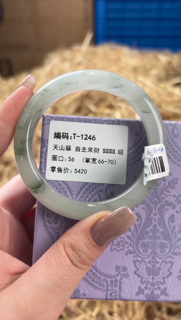 未镶嵌手镯石英质玉T-1246