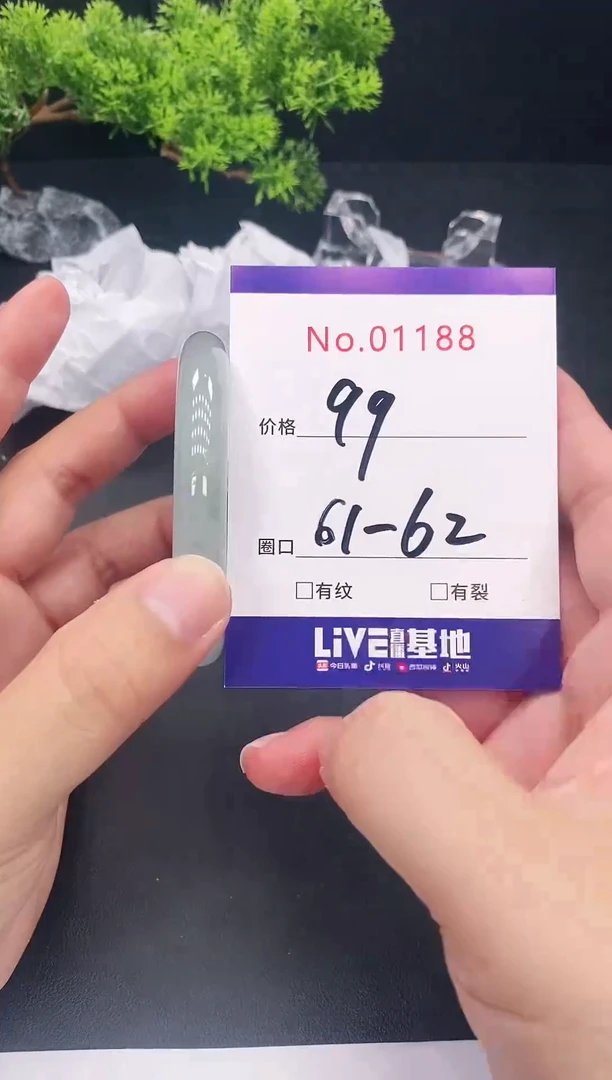 未镶嵌手镯翡翠1188