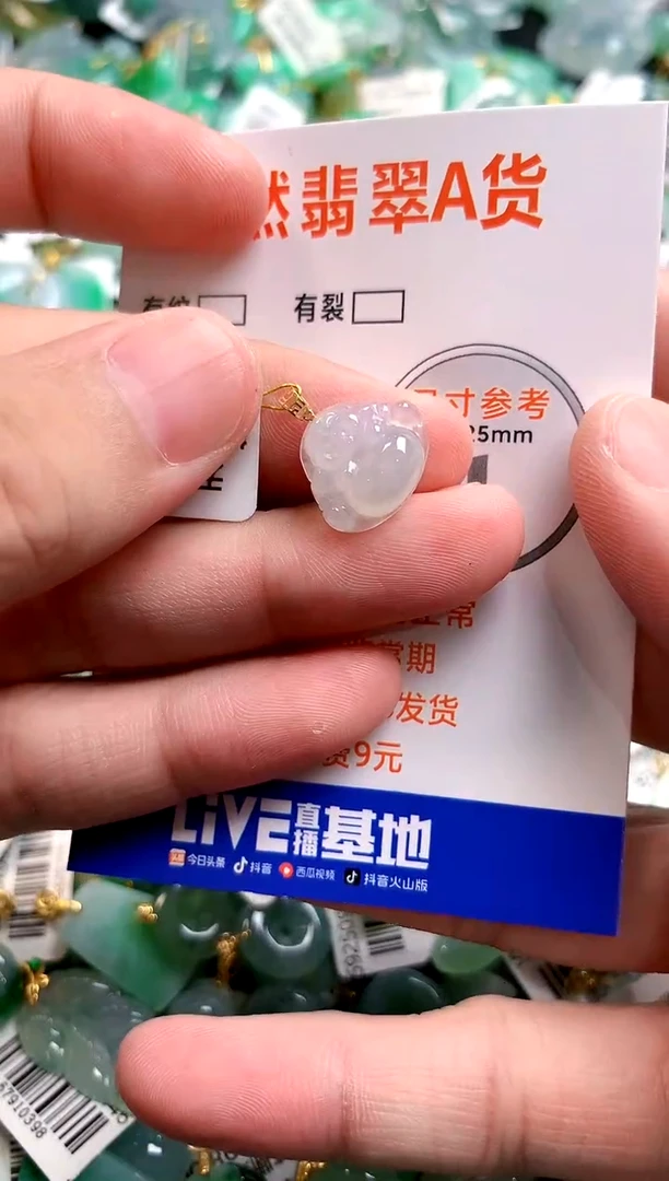 颈饰未镶嵌翡翠13003885