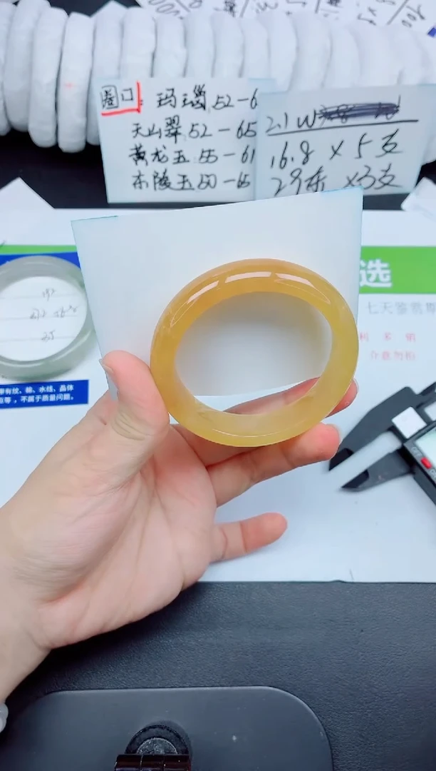 未镶嵌手镯石英质玉193-56.4