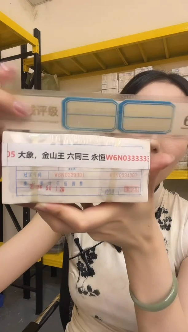 M  05 大象，金山王 六同三 永恒 W6N0333333