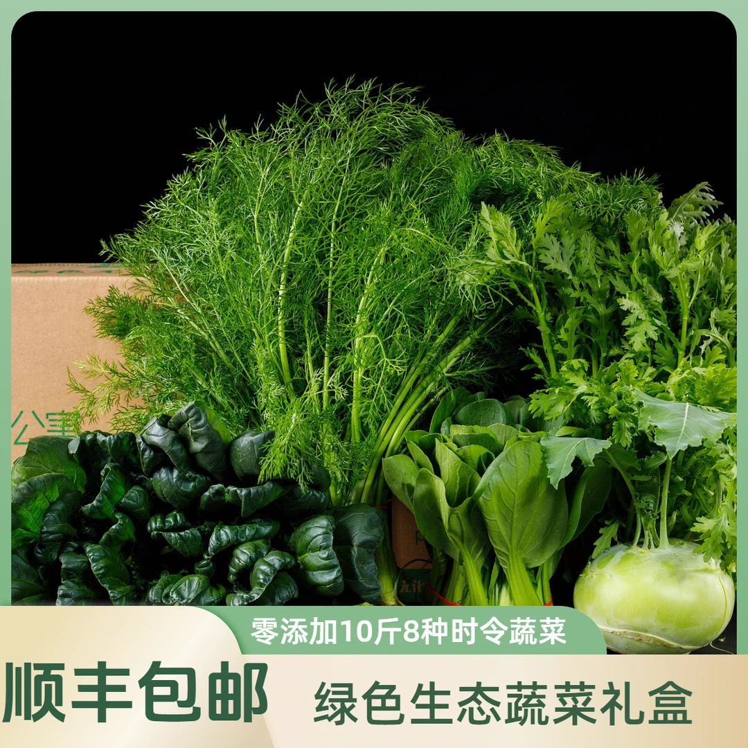 时令新鲜蔬菜套餐精品礼盒 零添加