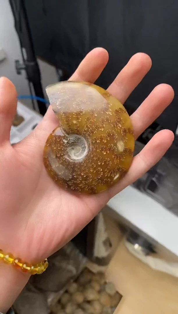 精美摆件创意礼物家居配饰新年礼物个人收藏