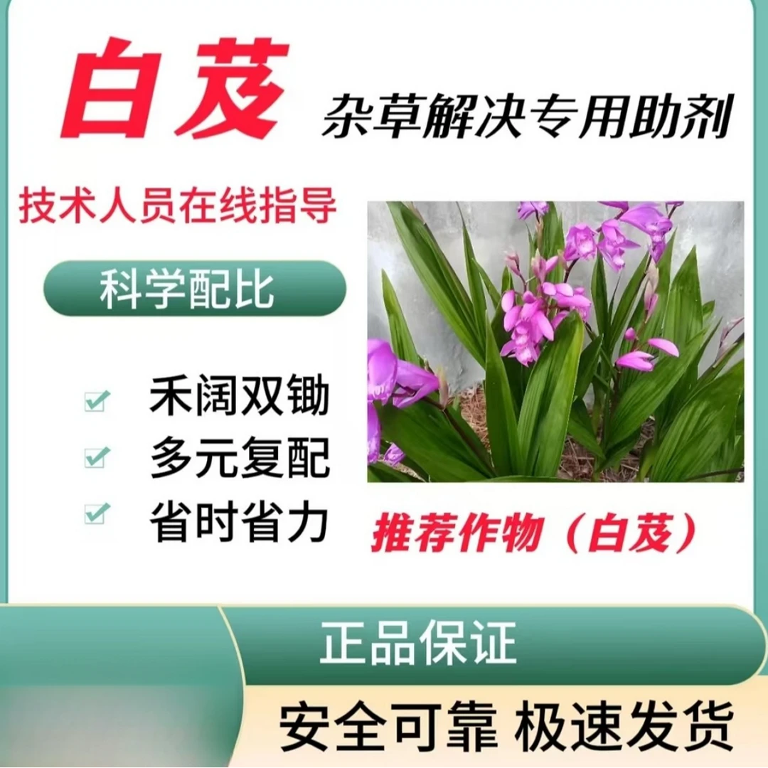 白芨苗后杂草解决方案专用助剂绿色健康省时省力