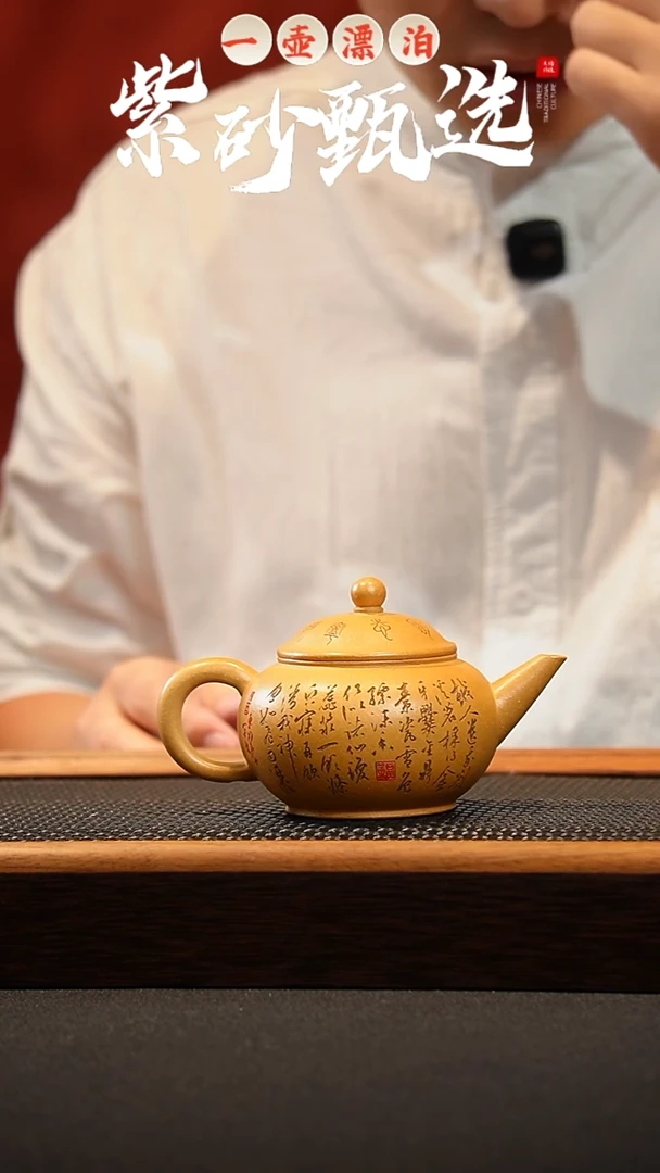 茶壶紫砂 一壶漂泊紫砂茶器2006