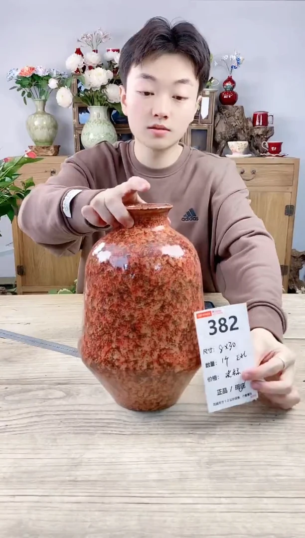 晴好园艺直播编号382