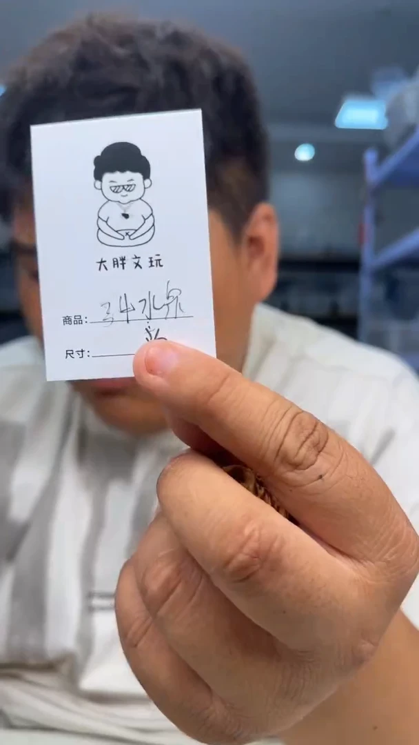 把件文玩核桃34水泉沟