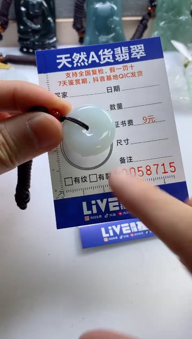 【闪购商品】翡翠挂件未镶嵌