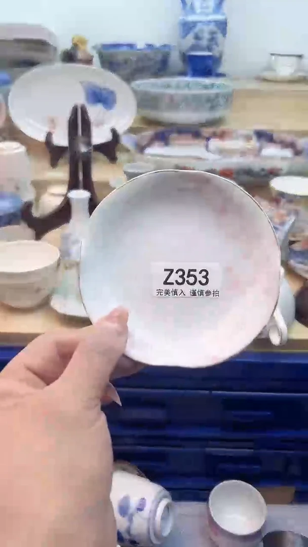 【闪购商品】瓷片353