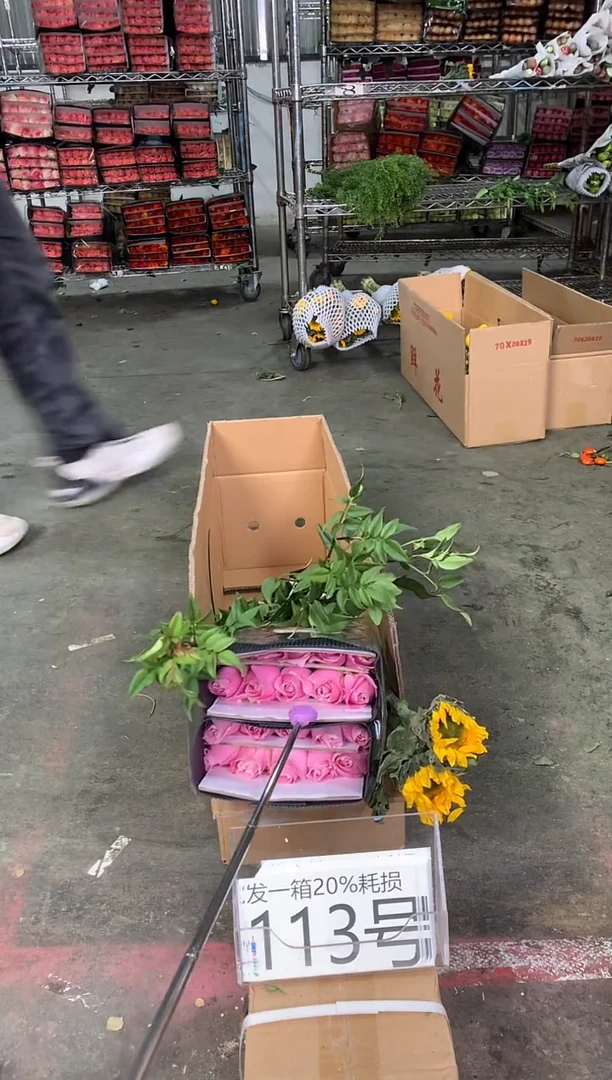 113号♥中通含20%耗损发一箱