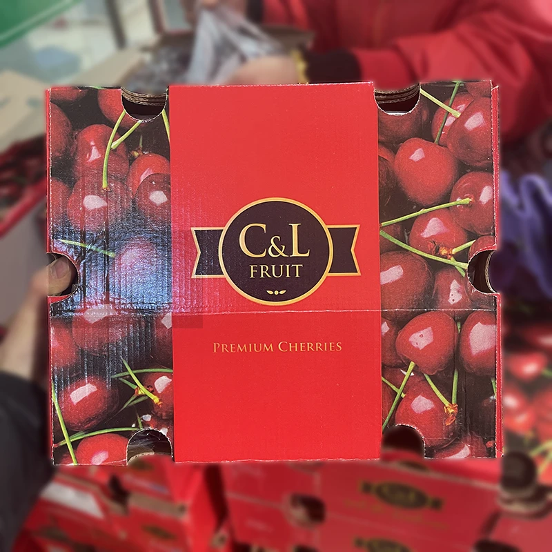 拉宾斯 单JD车厘子约5斤 整件礼盒装