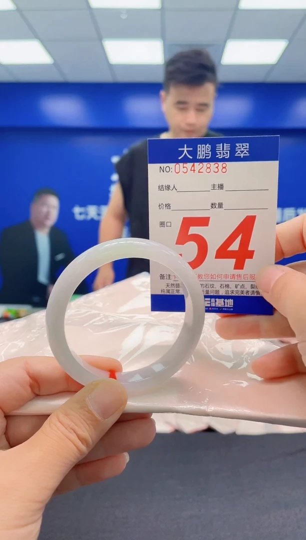 未镶嵌手镯翡翠AAAAAAAAA