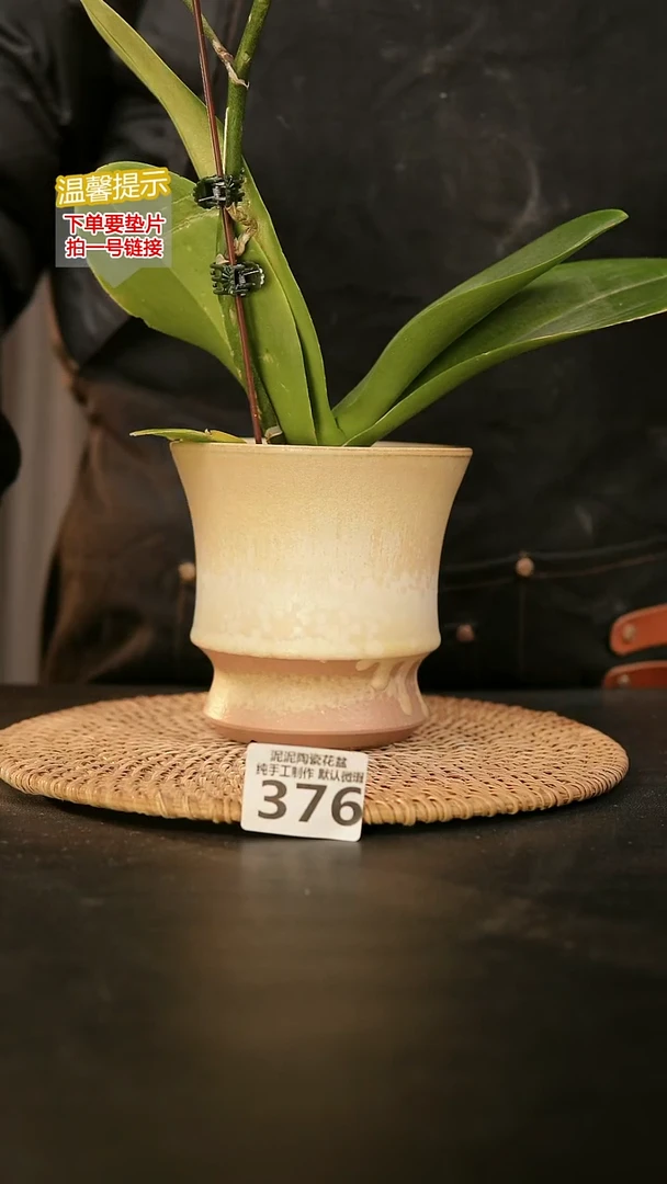 瓷片376内口径约11  外高约12