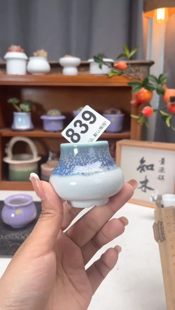 瓷片839知木小芳花盆