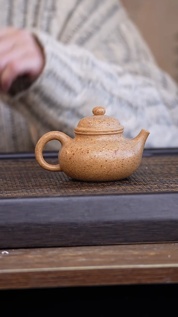 【闪购商品】紫砂茶壶456789321465789