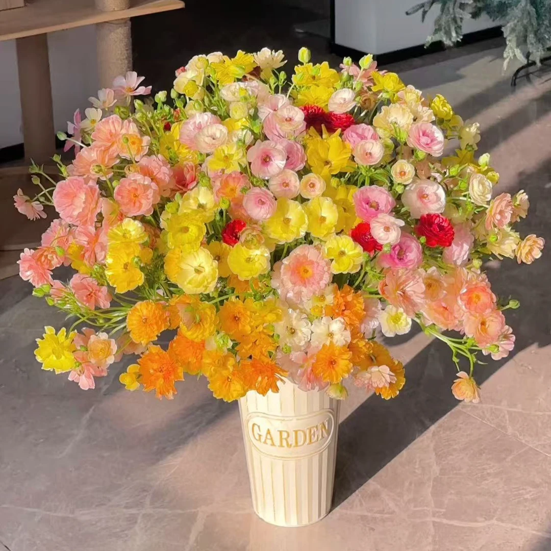 【蝴蝶洋牡丹】 稀缺小众 高端品种 花期长   鲜切花