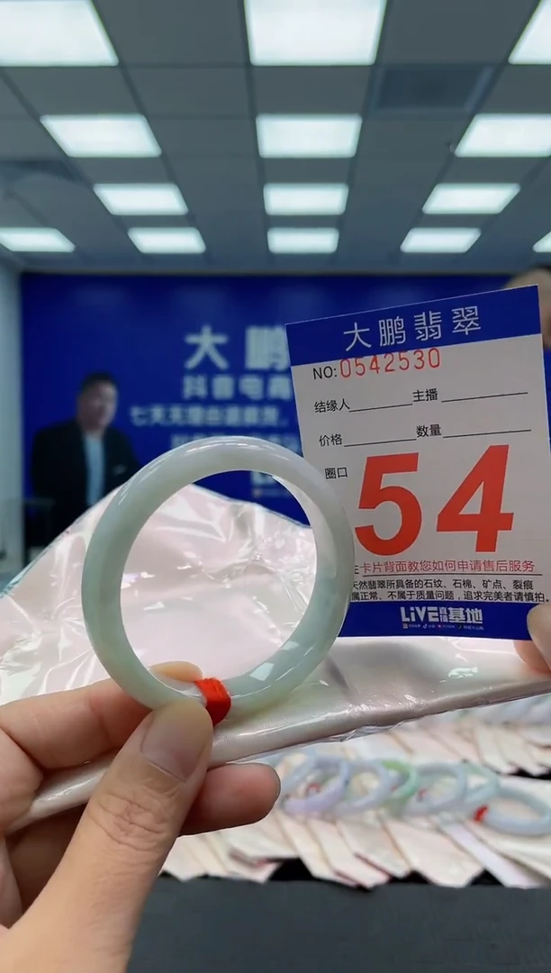 未镶嵌手镯翡翠AAAAAAAAAA
