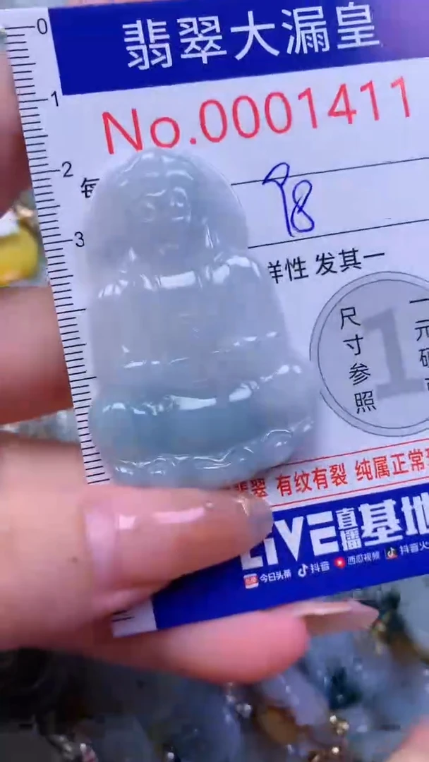 翡翠未镶嵌吊坠(不含链)1411