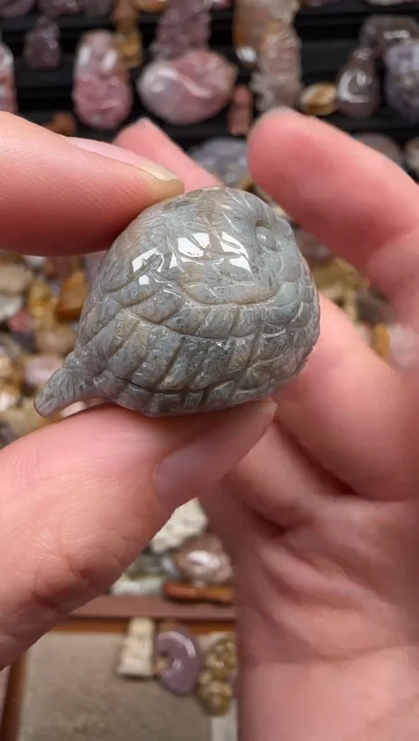 颈饰未镶嵌硅化珊瑚（珊瑚玉）615