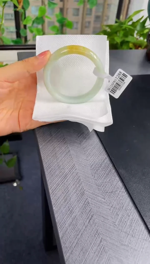 未镶嵌手镯翡翠028-57