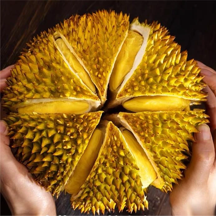 【诚泰】顺丰泰国进口金枕榴莲新鲜发货，熟了再开生切不售后