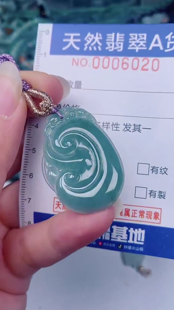 翡翠未镶嵌颈饰00006020
