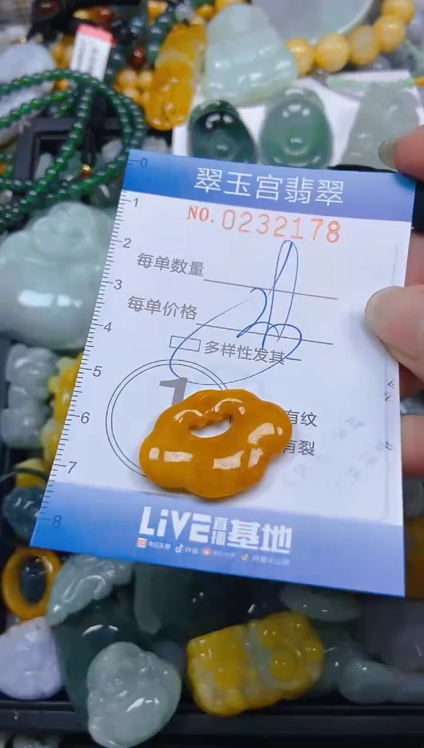 颈饰未镶嵌翡翠闪购C0232178多样性发其一