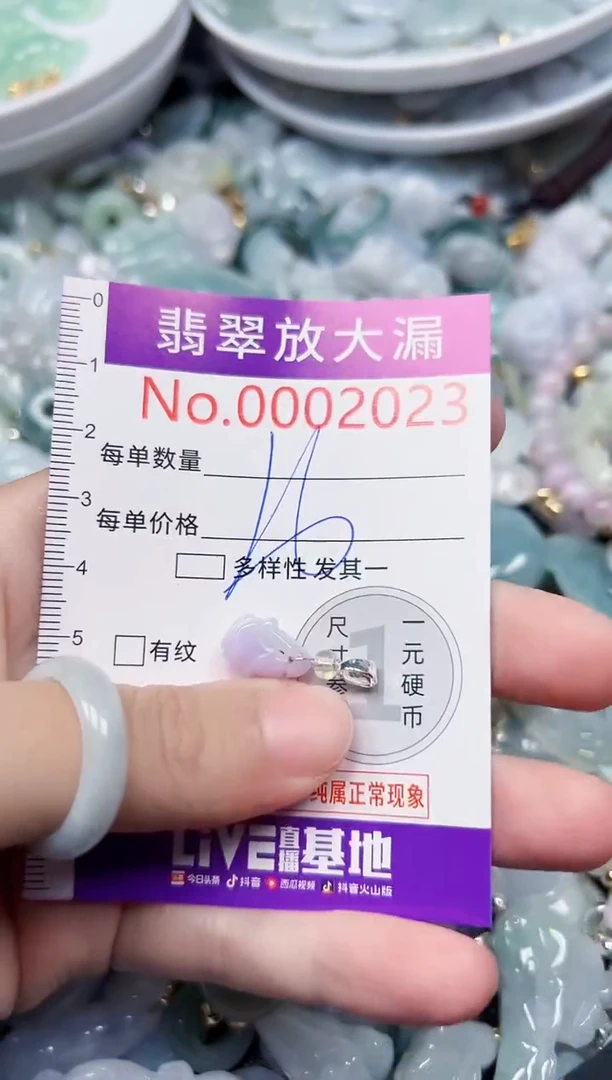 颈饰未镶嵌翡翠2023