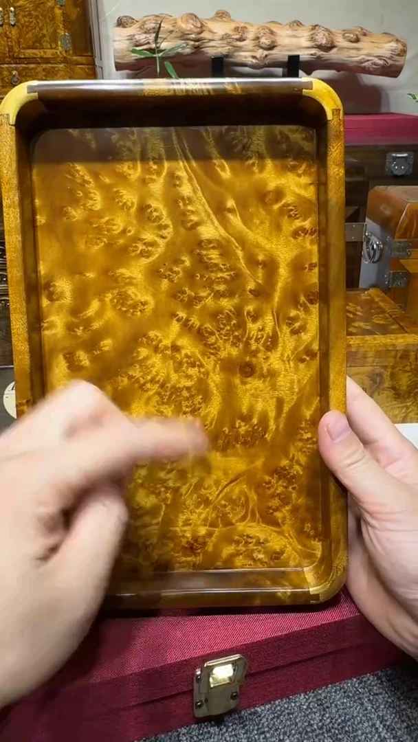帝王之木 满瘤疤文承盘27/17/3