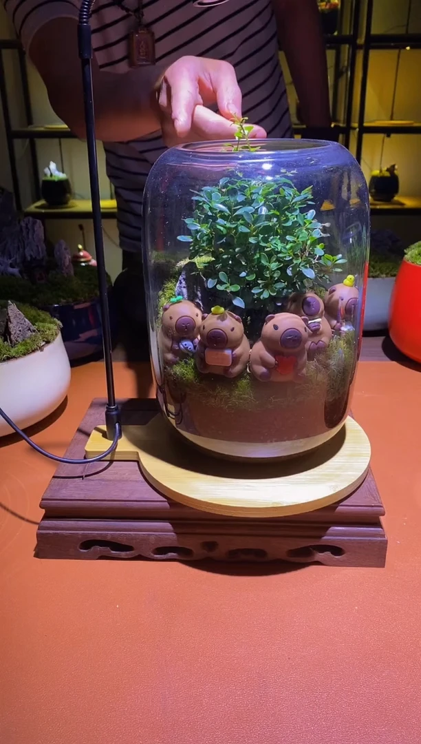 吉鑫福利精选福力