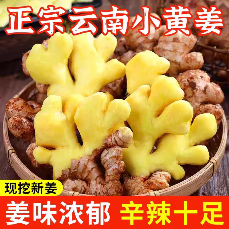 【现挖现发】云南小黄姜老姜生姜新鲜黄姜土姜现挖子姜嫩姜鲜姜包邮