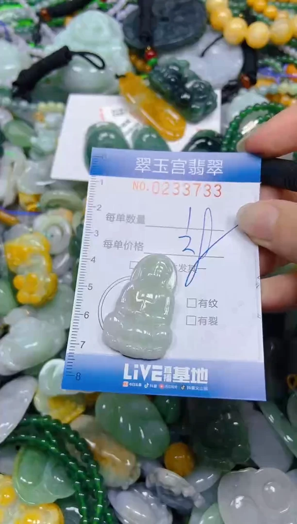 颈饰未镶嵌翡翠闪购C0233733