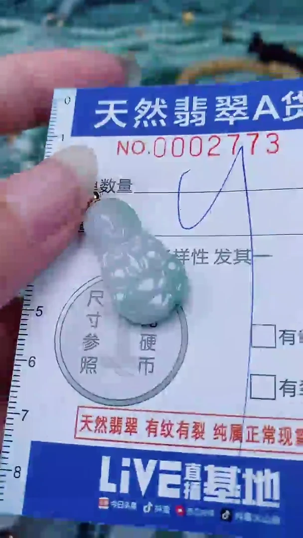翡翠未镶嵌颈饰00002773
