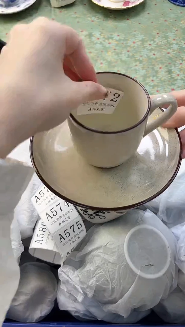 【闪购商品】瓷片          A572