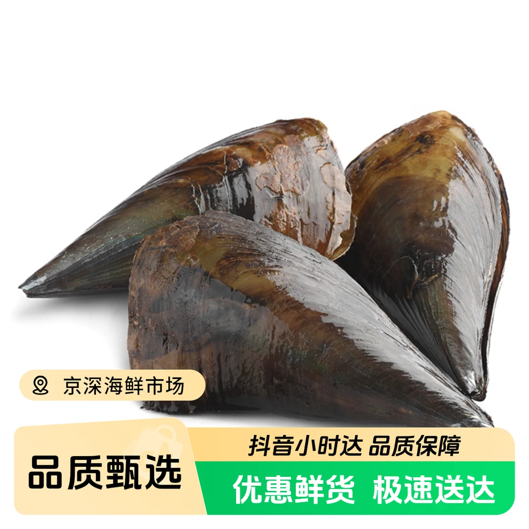 【鲜活】带子 350-400g/只