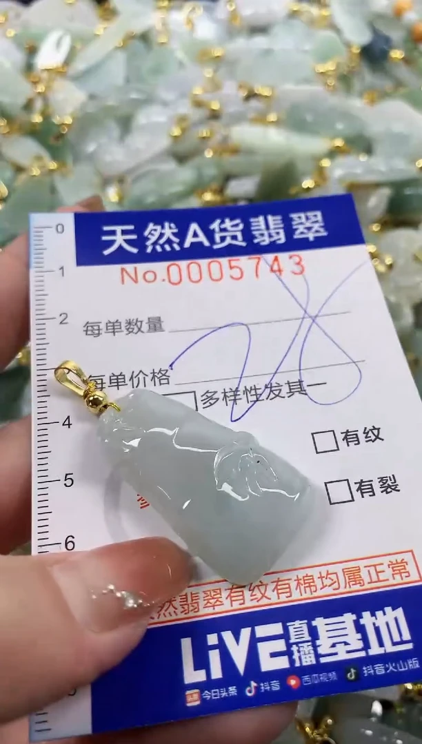 颈饰未镶嵌翡翠天然A货翡翠