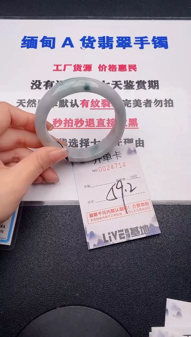 未镶嵌手镯翡翠14
